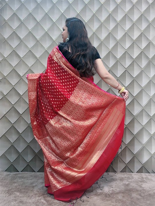RED ORGANZA BANARSI SAREE